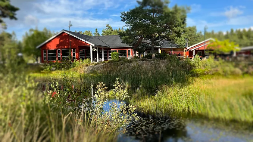 Ekstraordinært årsmøe